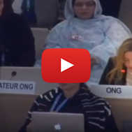 Holocaust Denial UNHRC
