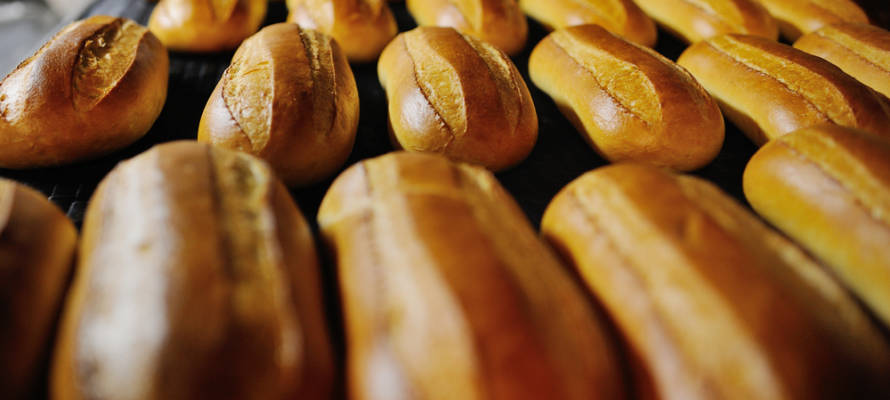 Loaves of bread