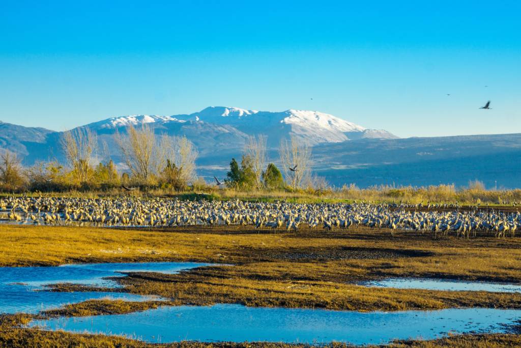 Hula Valley