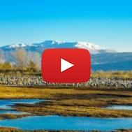 Hula Valley