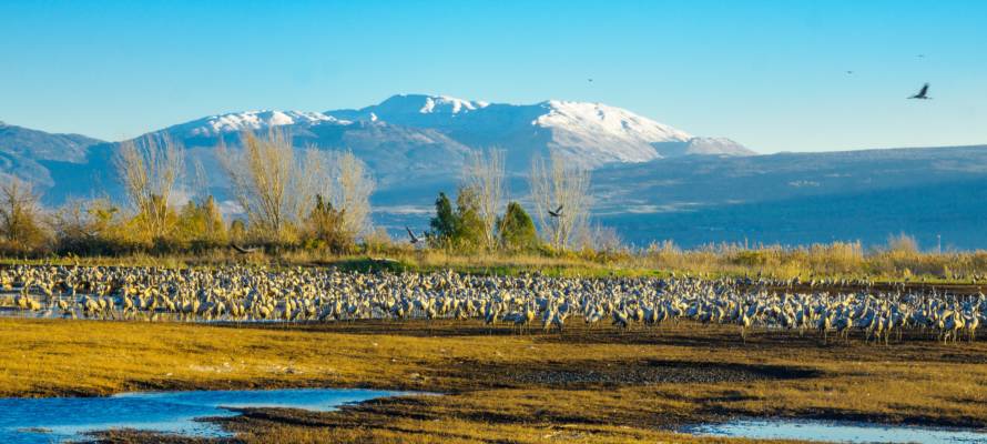 Hula Valley