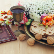 Passover seder