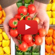 Produce