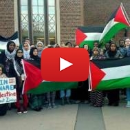 students for justice in palestine