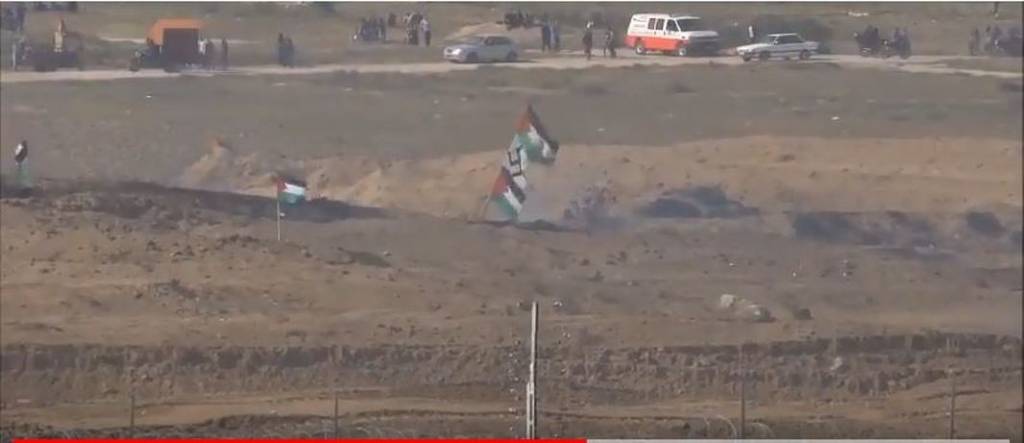 Swastika Palestinian flag Gaza