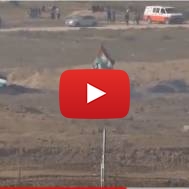 Swastika Palestinian flag Gaza