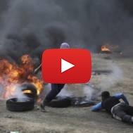 Palestinian rioters