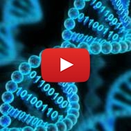 computer DNA