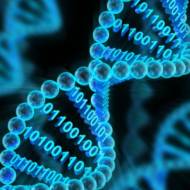 computer DNA