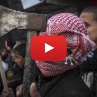 Gaza Violence