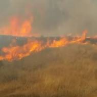 Palestinian arson terror