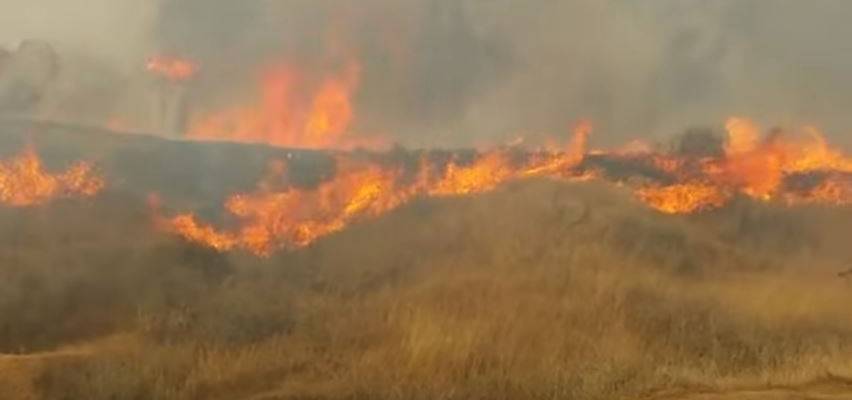 Palestinian arson terror