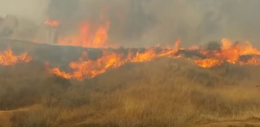 Palestinian arson terror