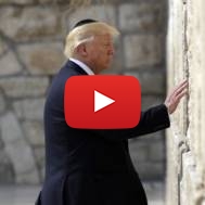 President Donald Trump visits the Western Wall in Jerusalem. (AP/Evan Vucci)