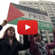 'Free Palestine'