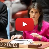 Nikki Haley