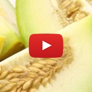 Melon