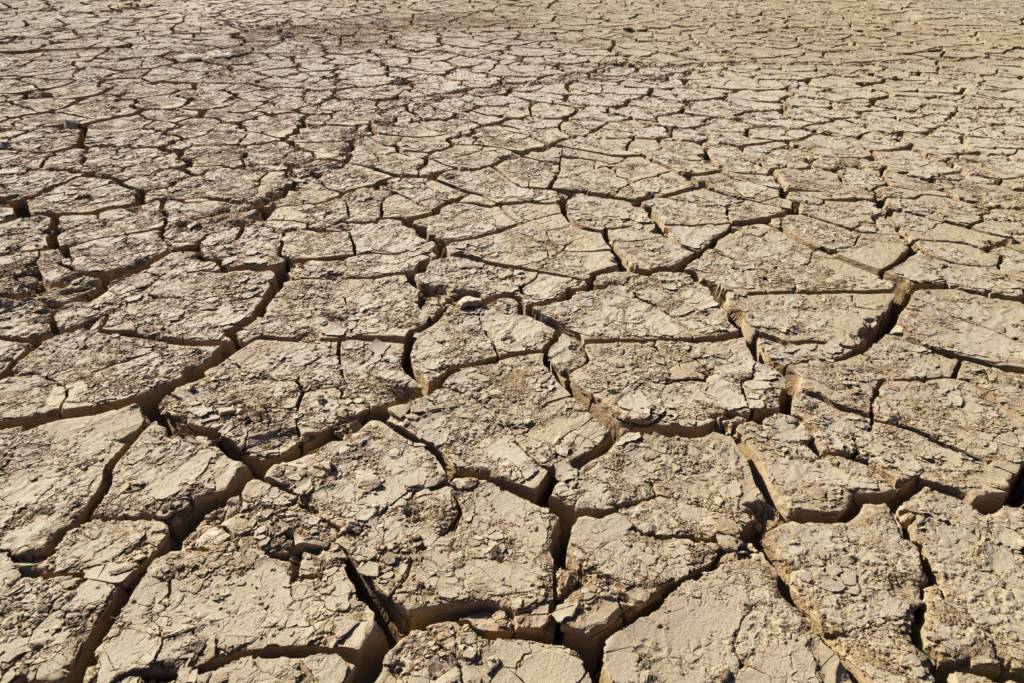 Desertification