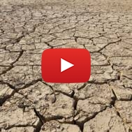 Desertification