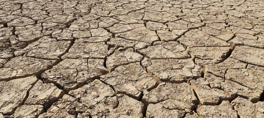 Desertification