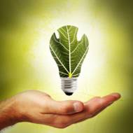 renewable energy