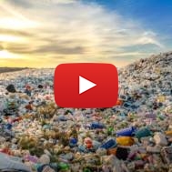 plastic pollution