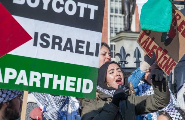 Anti-Israel activists