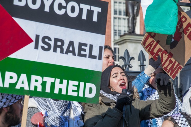 Anti-Israel activists