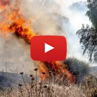 Israel's burning south