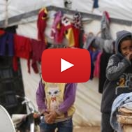 Syrian refugee