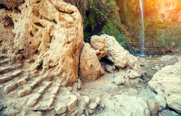 Ein Gedi
