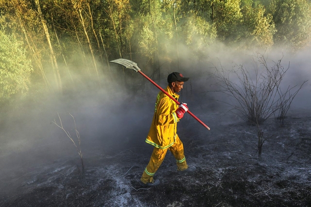 fire terror