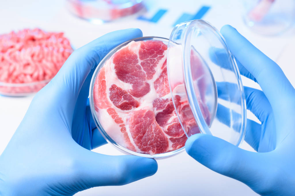 Meat in a lab