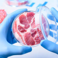Meat in a lab
