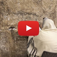 praying western wall
