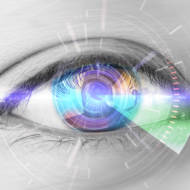 shutterstock