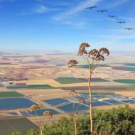 Mount Gilboa valley