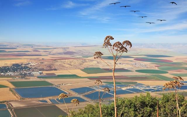 Mount Gilboa valley