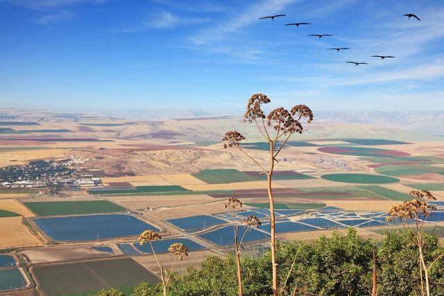 Mount Gilboa valley