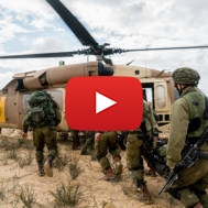 IDF