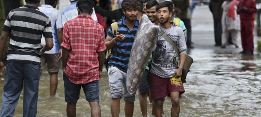 India Monsoon Flooding