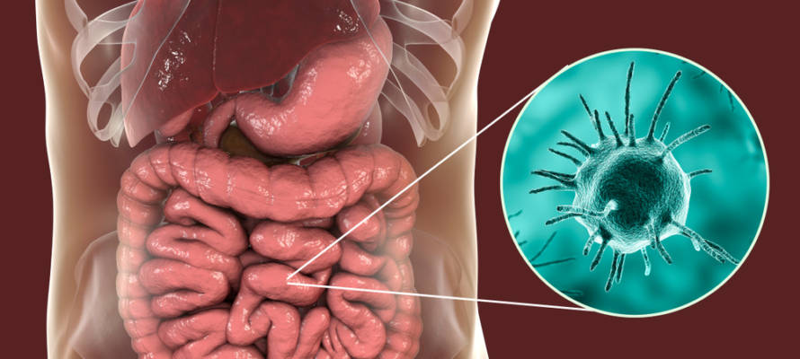 parasitic disease