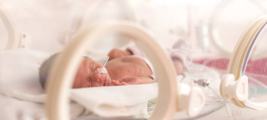 Premature baby