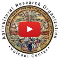 The Volcani Center