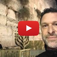 Ari Fuld