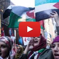 Anti-Israel demonstrators