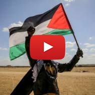 Palestinian flag