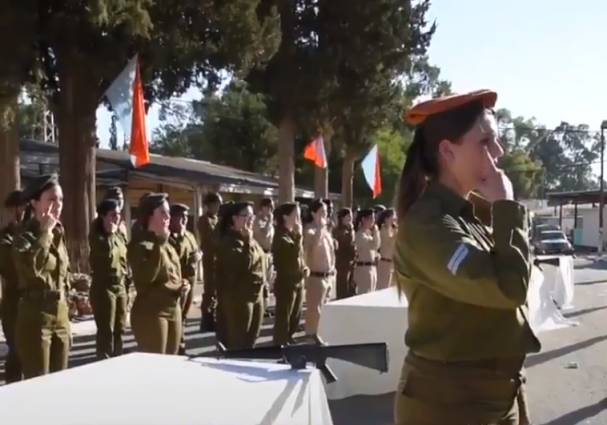 IDF sign language