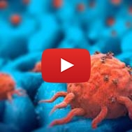 cancer cells