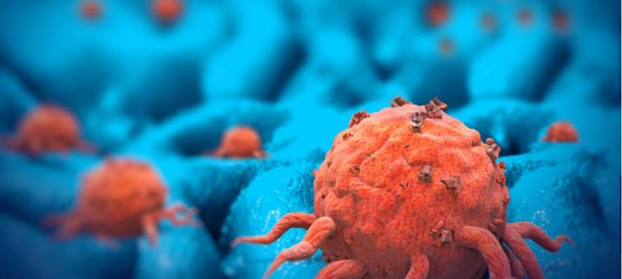 cancer cells